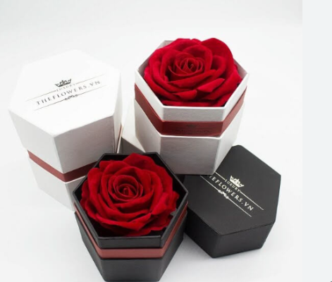 hoa-hong-sap-resobox