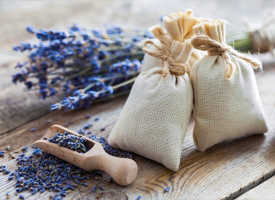 Túi thơm lavender
